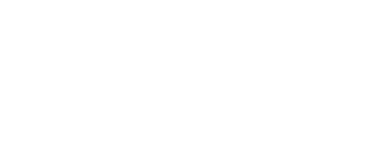 logo de website